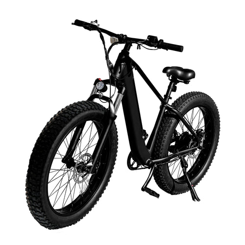 ZCJ Electric Bike